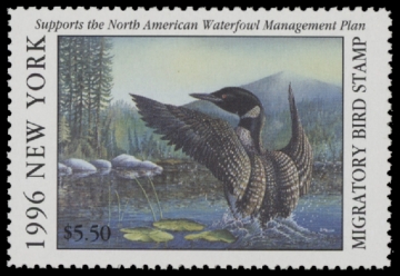 Scan of 1996 New York Duck Stamp