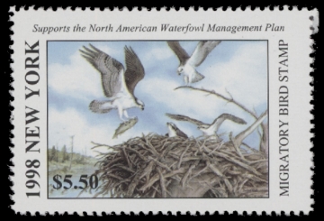 Scan of 1998 New York Duck Stamp