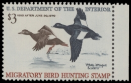 Scan of RW36 1969 Duck Stamp. MNH