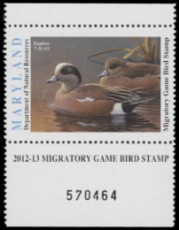 Scan of 2011 Maryland Duck Stamp