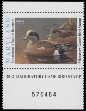 Scan of 2011 Maryland Duck Stamp