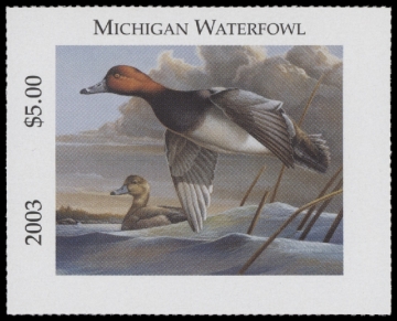 Scan of 2003 Michigan Duck Stamp