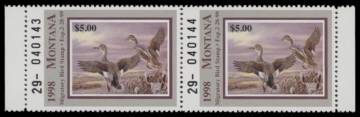 Scan of 1998 Montana Duck Stamp