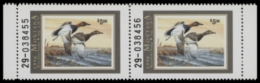 Scan of 1999 Montana Duck Stamp