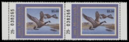 Scan of 2001 Montana Duck Stamp