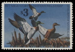 Scan of 1977 Minnesota Duck Stamp - First of State