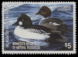 Scan of 1987 Minnesota Duck Stamp