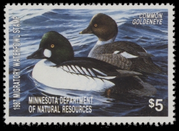 Scan of 1987 Minnesota Duck Stamp