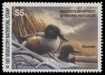 Scan of 1997 Minnesota Duck Stamp