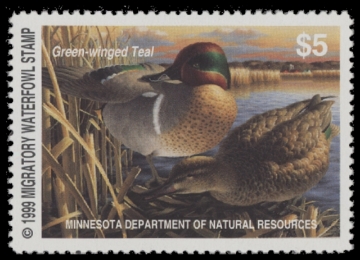 Scan of 1999 Minnesota Duck Stamp