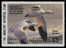 Scan of 1991 Minnesota Duck Stamp