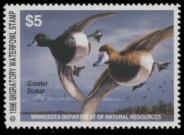 Scan of 1996 Minnesota Duck Stamp