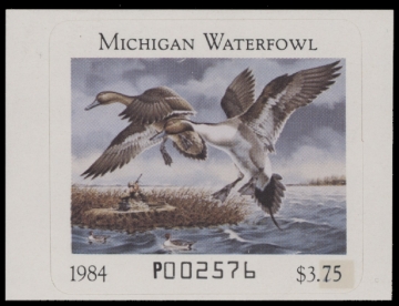 Scan of 1984 Michigan Duck Stamp