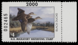 Scan of 2000 New Hampshire Duck Stamp