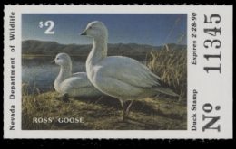 Scan of 1989 Nevada Duck Stamp