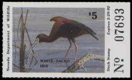 Scan of 1991 Nevada Duck Stamp