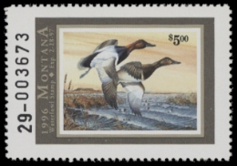 Scan of 1996 Montana Duck Stamp