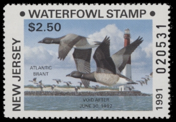 Scan of 1991 New Jersey Duck Stamp