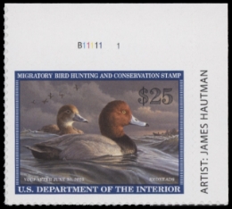 Scan of RW89 2022 Duck Stamp