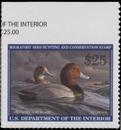 Scan of RW89 2022 Duck Stamp 