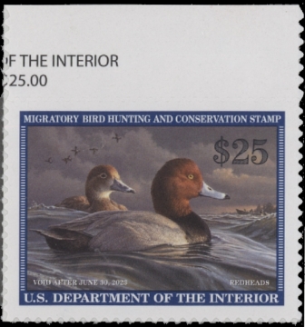 Scan of RW89 2022 Duck Stamp 