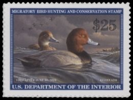 Scan of RW89 2022 Duck Stamp 