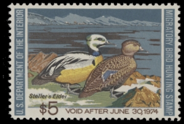 Scan of RW40 1973 Duck Stamp