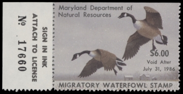 Scan of 1985 Maryland Duck Stamp