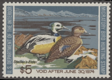 Scan of RW40 1973 Duck Stamp. MNH