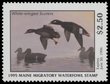 Scan of 1995 Maine Duck Stamp