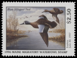 Scan of 1996 Maine Duck Stamp