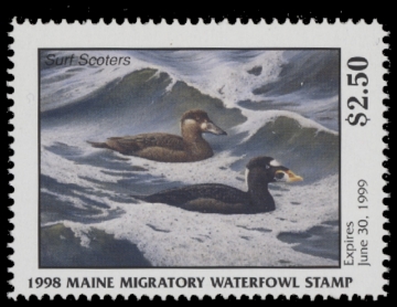 Scan of 1998 Maine Duck Stamp