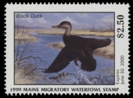 Scan of 1999 Maine Duck Stamp