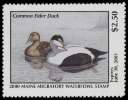 Scan of 2000 Maine Duck Stamp