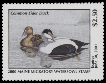 Scan of 2000 Maine Duck Stamp