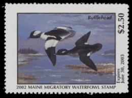 Scan of 2002 Maine Duck Stamp