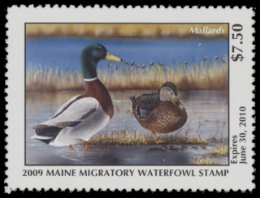 Scan of 2009 Maine Duck Stamp