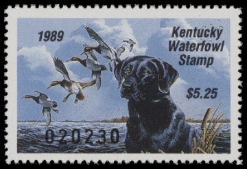 Scan of 1989 Kentucky Duck Stamp