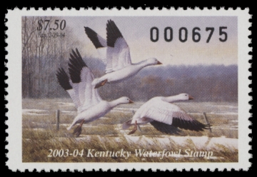 Scan of 2003 Kentucky Duck Stamp