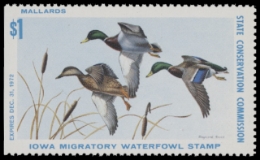 Scan of 1972 Iowa Duck Stamp - First of State