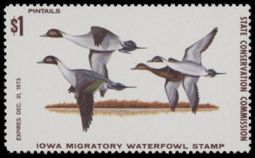 Scan of 1973 Iowa Duck Stamp