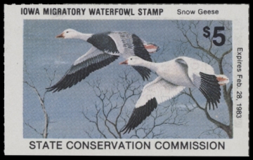 Scan of 1982 Iowa Duck Stamp