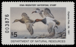 Scan of 1990 Iowa Duck Stamp