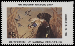 Scan of 1992 Iowa Duck Stamp