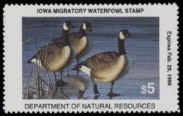 Scan of 1995 Iowa Duck Stamp