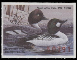 Scan of 1995 Indiana Duck Stamp