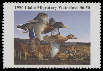 Scan of 1996 Idaho Duck Stamp