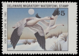 Scan of 1981 Delaware Duck Stamp