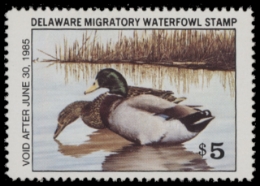 Scan of 1984 Delaware Duck Stamp