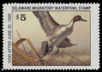 Scan of 1985 Delaware Duck Stamp